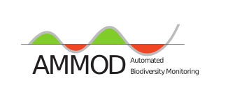 AMMOD Logo