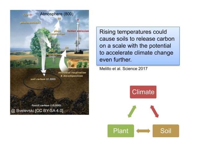 Changes in Soil Moisture Teaser