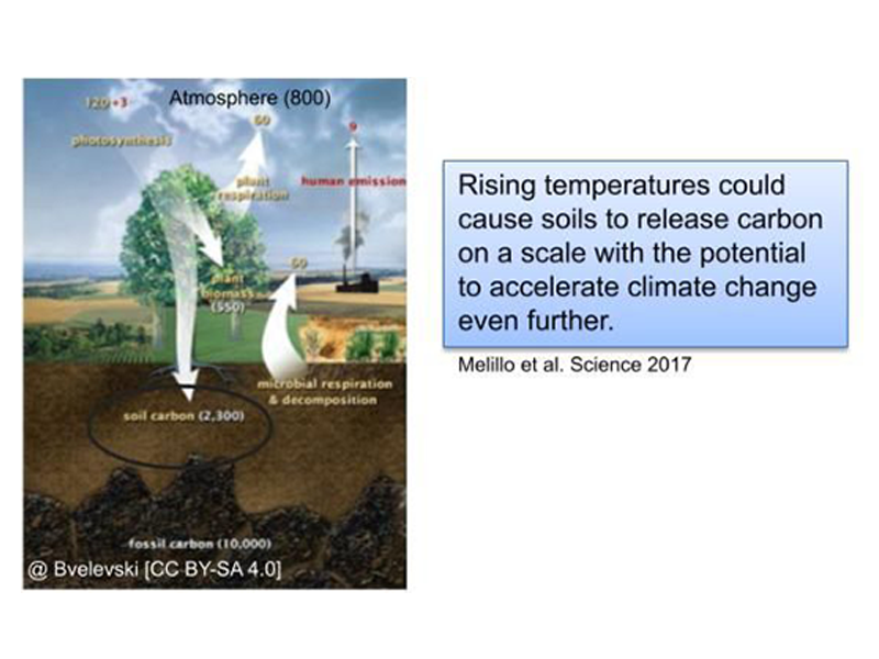 Changes in Soil Moisture Teaser