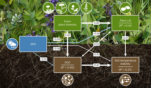 Soil Plant Climate Cycle
