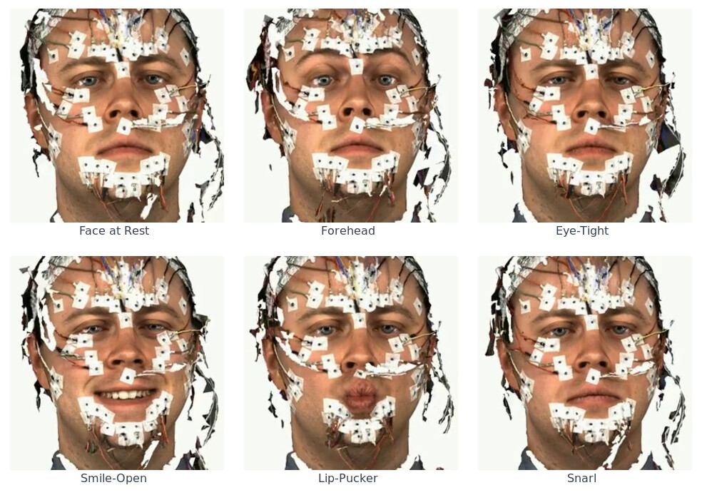 Mimics and Muscles dataset example grid